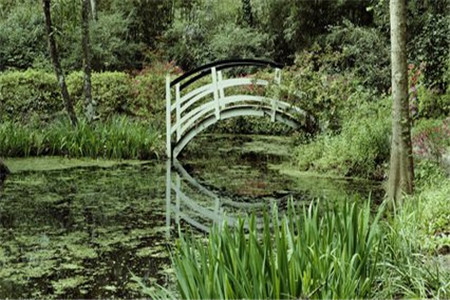 天津自考毕业生是否可以考研?