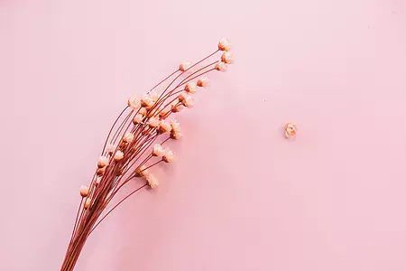 天津自考文凭国外认可吗?