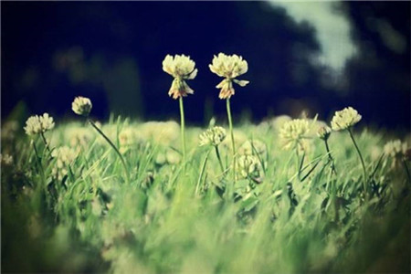 天津自考生可以报考哪些岗位的公务员?