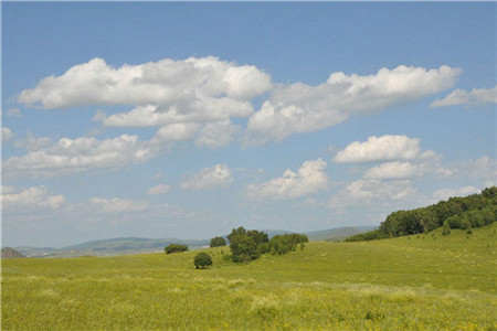 天津自考什么专业考公务员成功率会比较高呢?