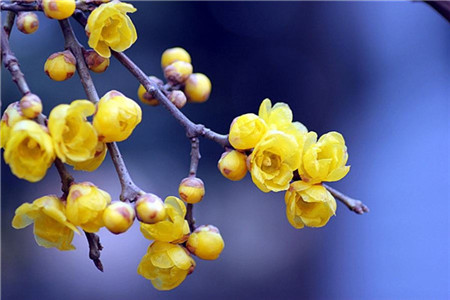 天津上班族参加自考本科靠谱吗?