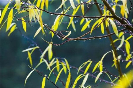 天津自考适合在职人员报名的原因？