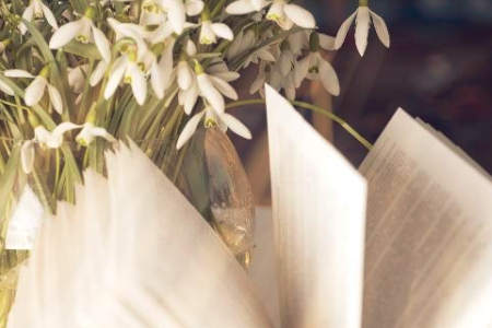 天津自考有多难？通过率高吗？