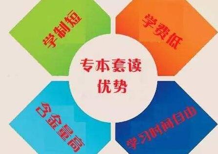 天津自考，为什么要选择专科本科一起读呢?
