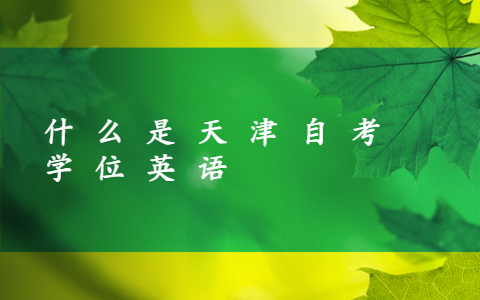 什么是天津自考学位英语